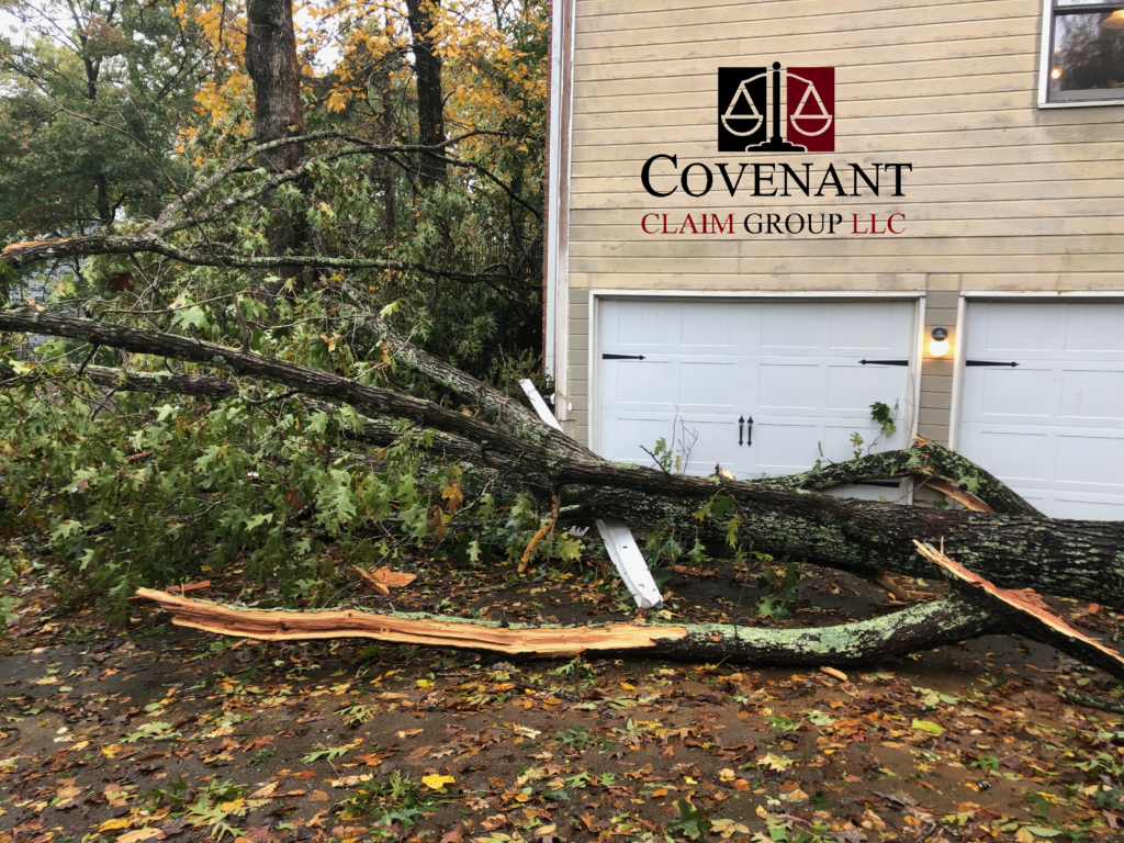 Tree damage near a home after a storm