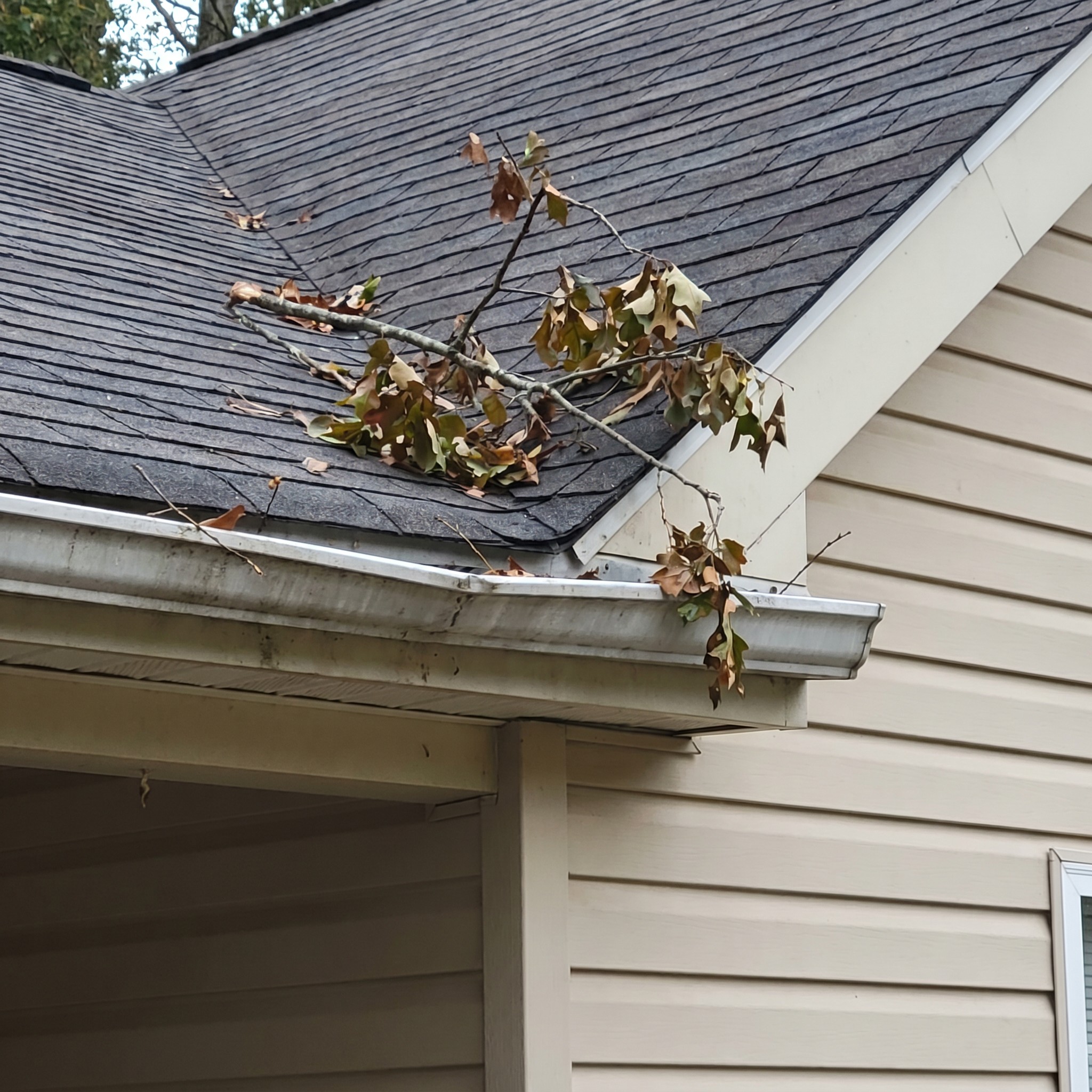 Small tree limb and debris near a Georgia home roof edge and gutter