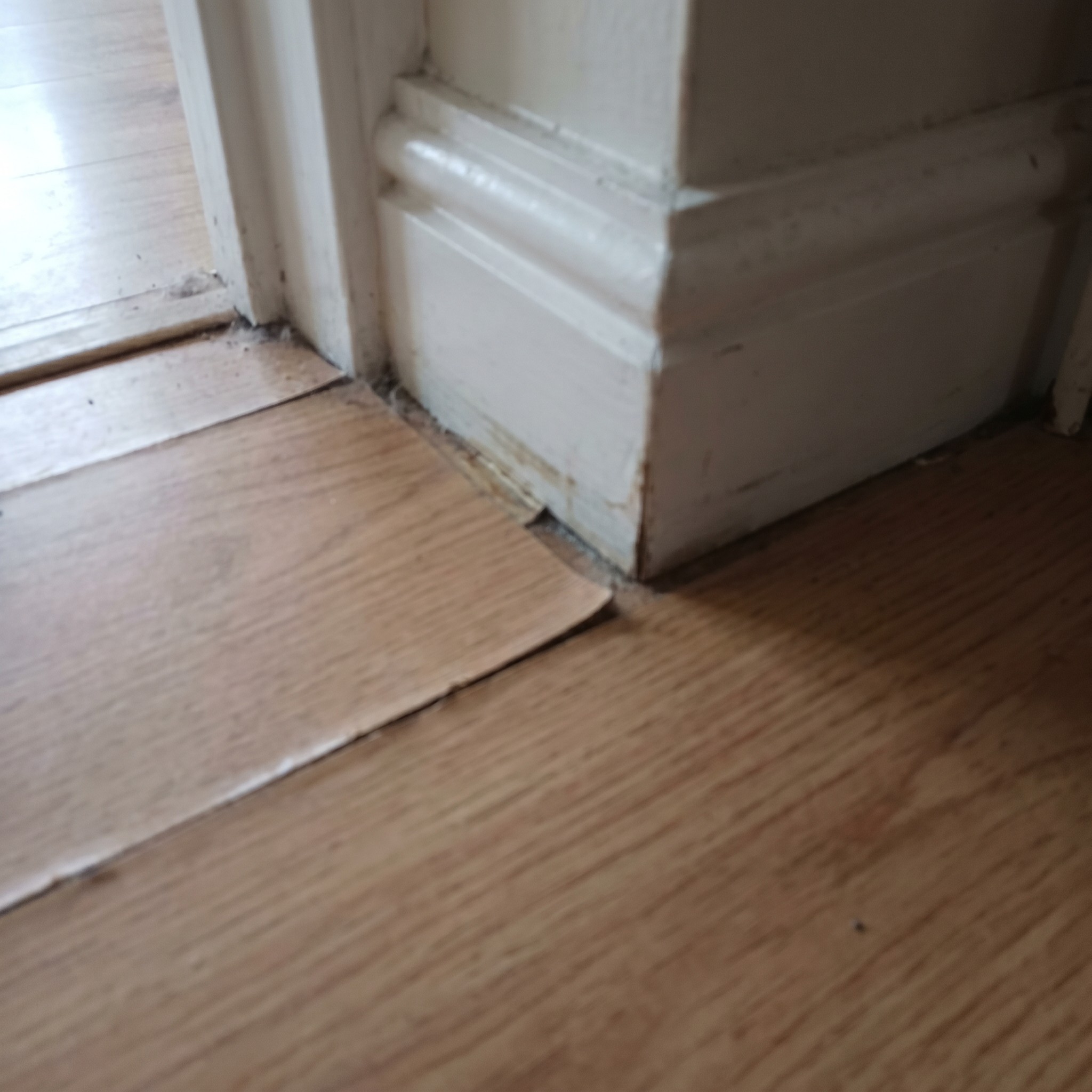 Soft flooring and baseboard water staining inside a Georgia home