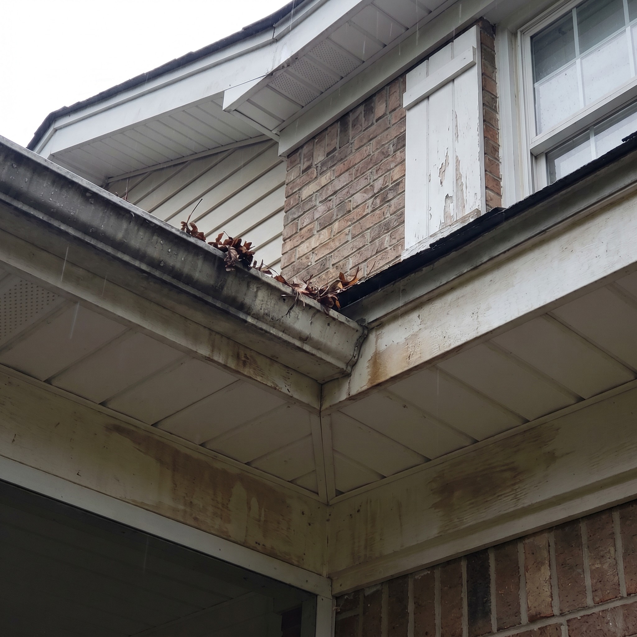 Wet Georgia home roof edge, gutter, soffit, fascia, and window trim after a pop-up storm
