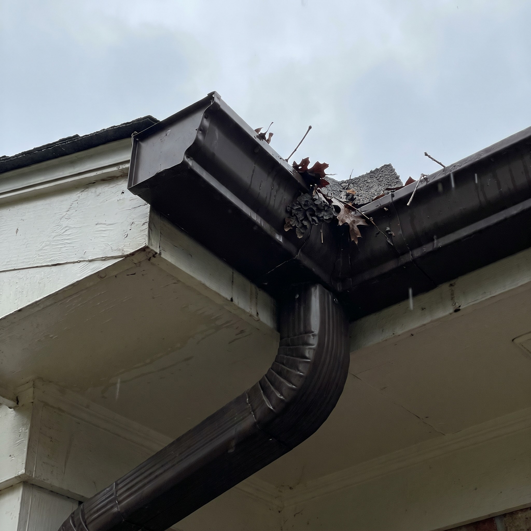 Wet Georgia home gutter and downspout with small storm debris after afternoon thunderstorms