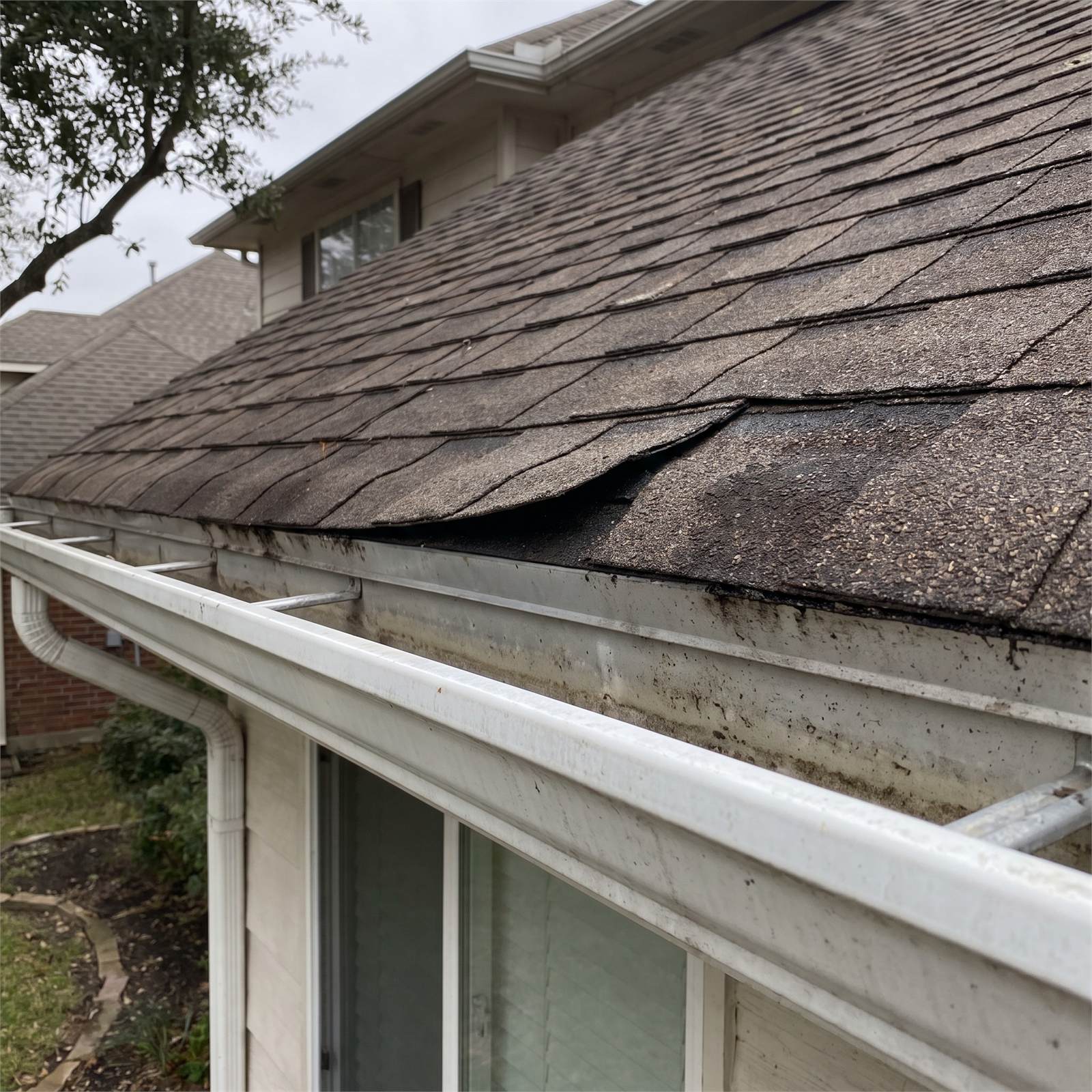 Lifted asphalt shingle edge near the eave of a residential roof after recent storms