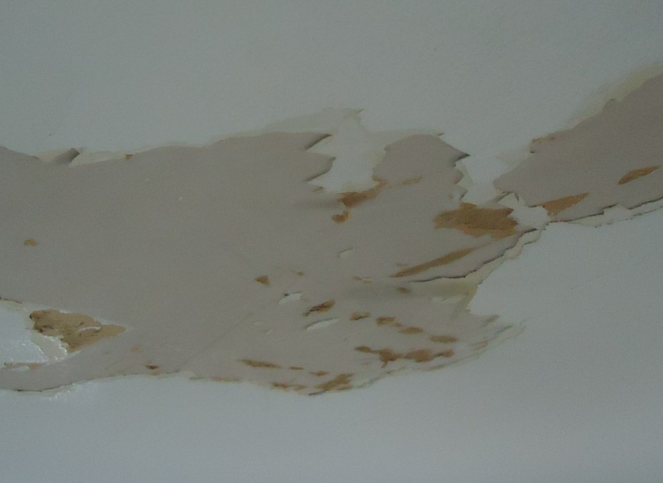 Water-damaged residential ceiling with peeling paint and exposed sheetrock