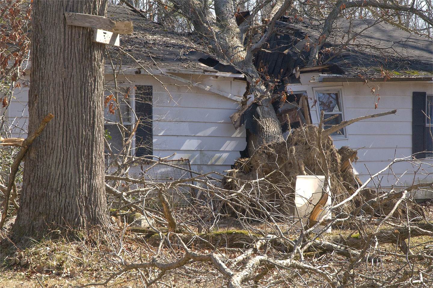 Large uprooted tree crushing the roof and wall of a residential house with exposed framing and damaged siding